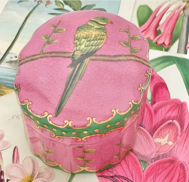 Isla Trinket Box - Perroquet