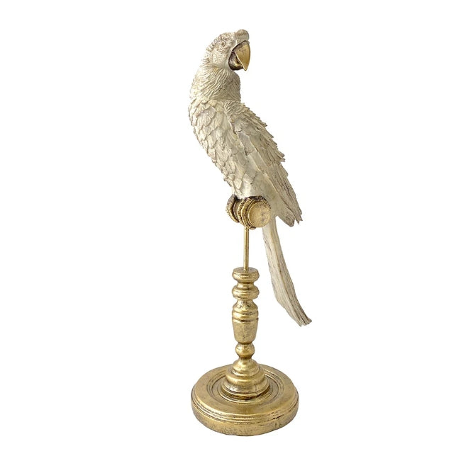 Ornithology Aviary Perroquet Royale - White w/ Gold