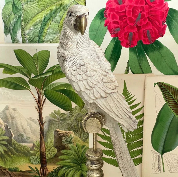 Ornithology Aviary Perroquet Royale - White w/ Gold