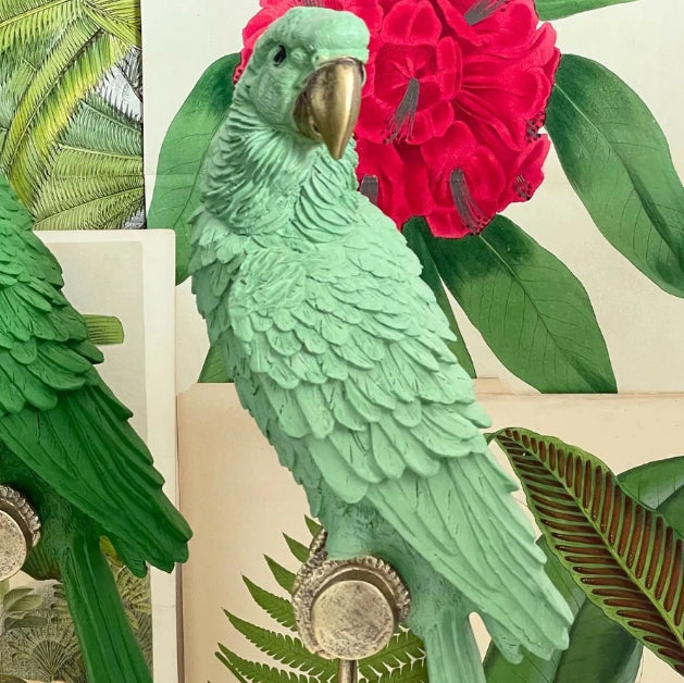 Ornithology Aviary Perroquet Royale - Pale Green w/ Gold