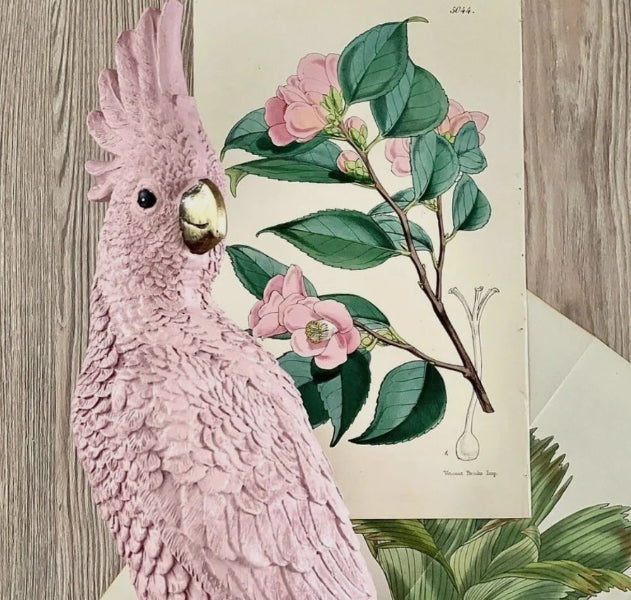 X-Large Parrot - Pale Pink
