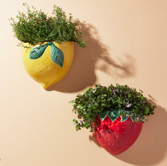 Lemon Wall Planter image 0