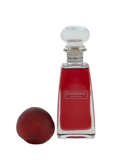 Blood Plum & Leather - The Standard Diffuser image 0