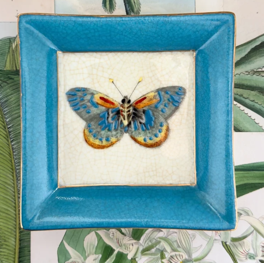 Exotico Mariposa CAM Blue