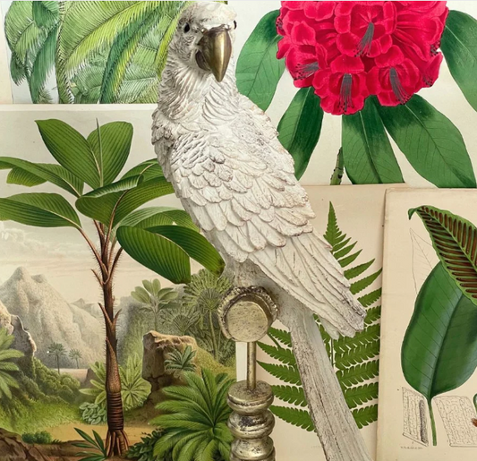 Parrot - Ivory with gold stand CAM