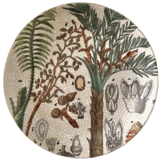 Jungle Wall Plate - Palma