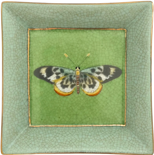 Mariposa Exotico Wall Plate