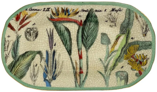 Botanical Jungla Savon Dish