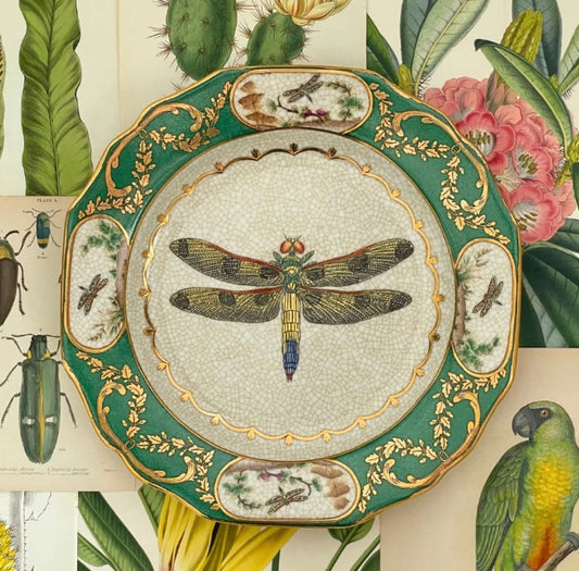 Exotico Wall Plate - Libelula