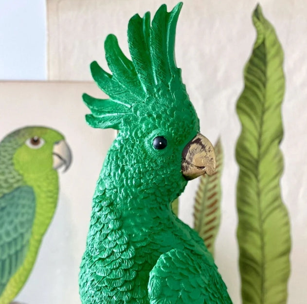 Parrot X-Large - Green