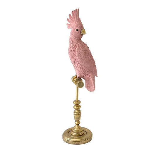 X-Large Parrot - Pale Pink