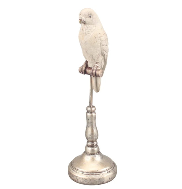 X-Small Parrot - White/Silver