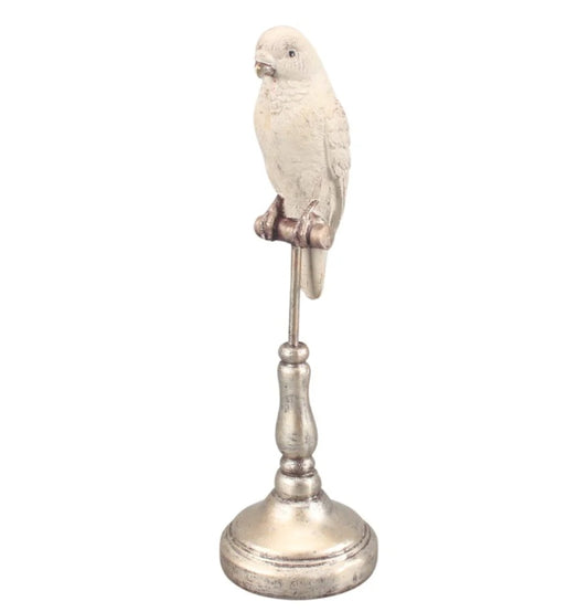 X-Small Parrot - White/Silver