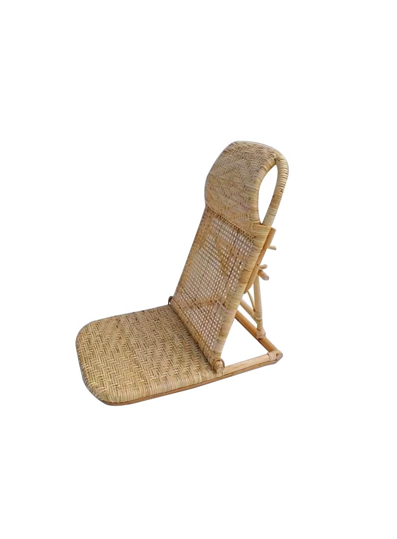 beach chair cane