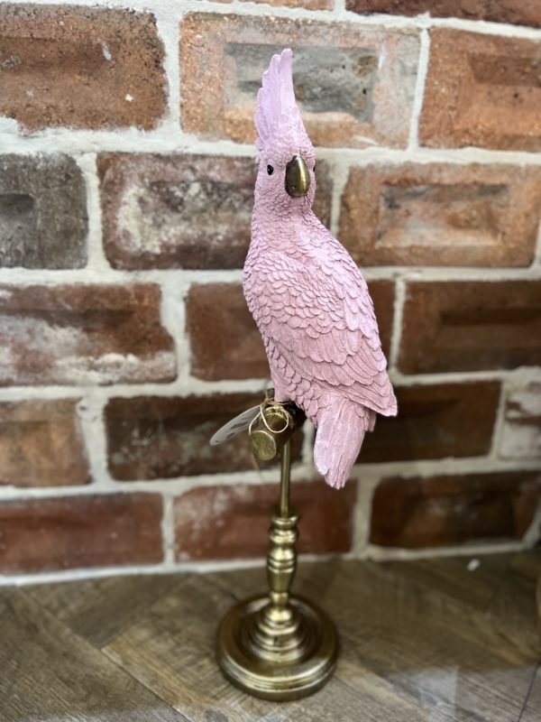 xlarge parrot pink gold stand
